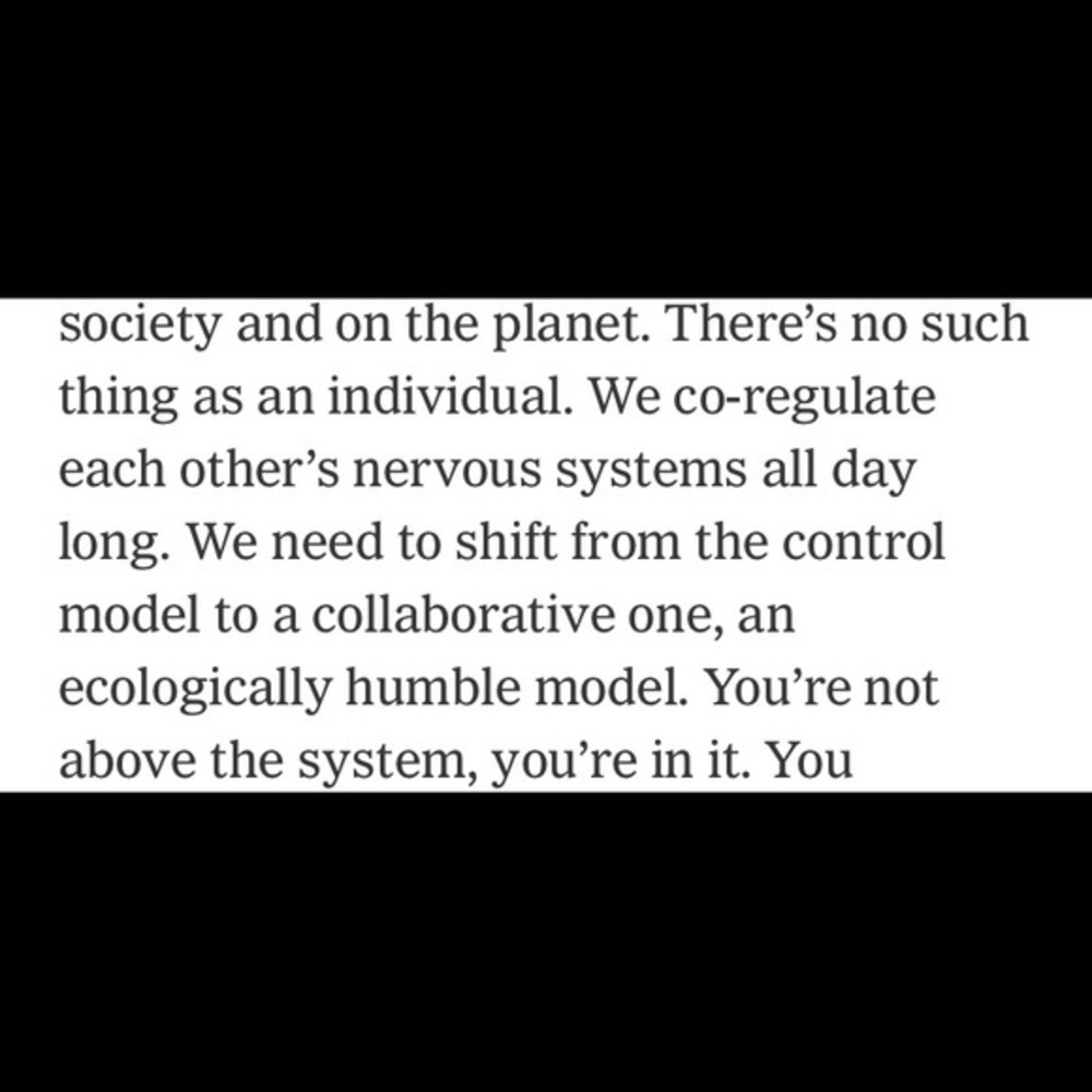 Let’s play nice y’all - Picture 11 of 14